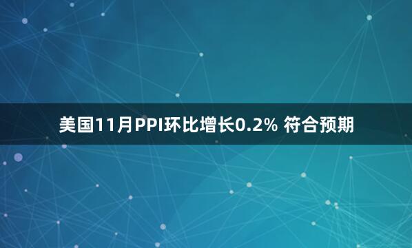 美國11月PPI環比增長0.2% 符合預期