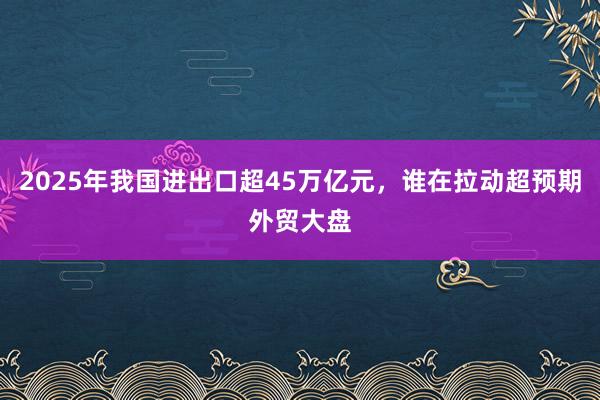2025年我國進出口超45萬億元，誰在拉動超預期外貿(mào)大盤
