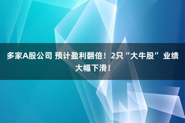 多家A股公司 預計盈利翻倍！2只“大牛股” 業績大幅下滑！