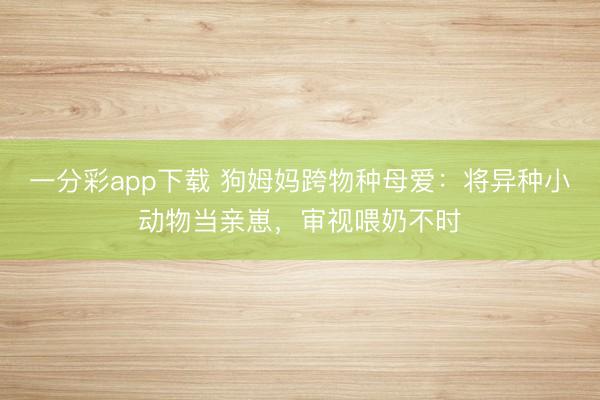 一分彩app下載 狗姆媽跨物種母愛：將異種小動物當親崽，審視喂奶不時