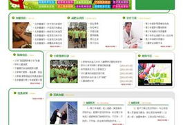 沈陽網(wǎng)站建設與設計 打造專業(yè)在線形象，驅動企業(yè)數(shù)字增長